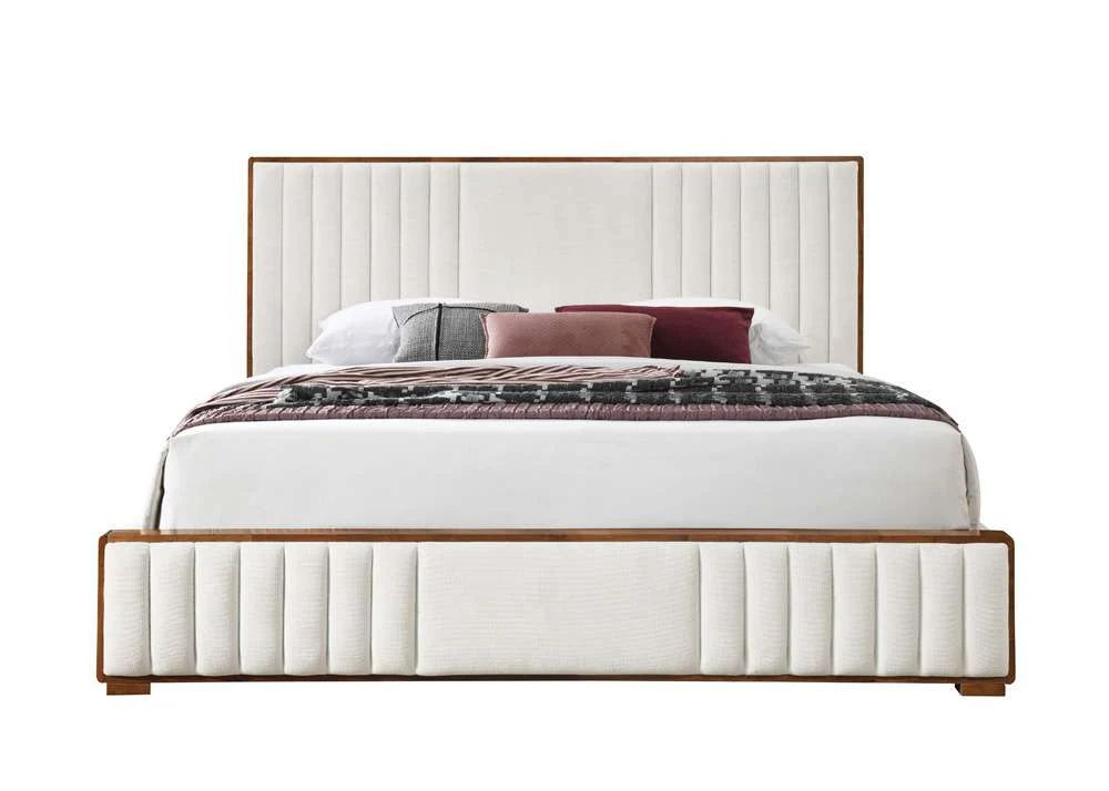 Dolphin Luxury Premium Bed