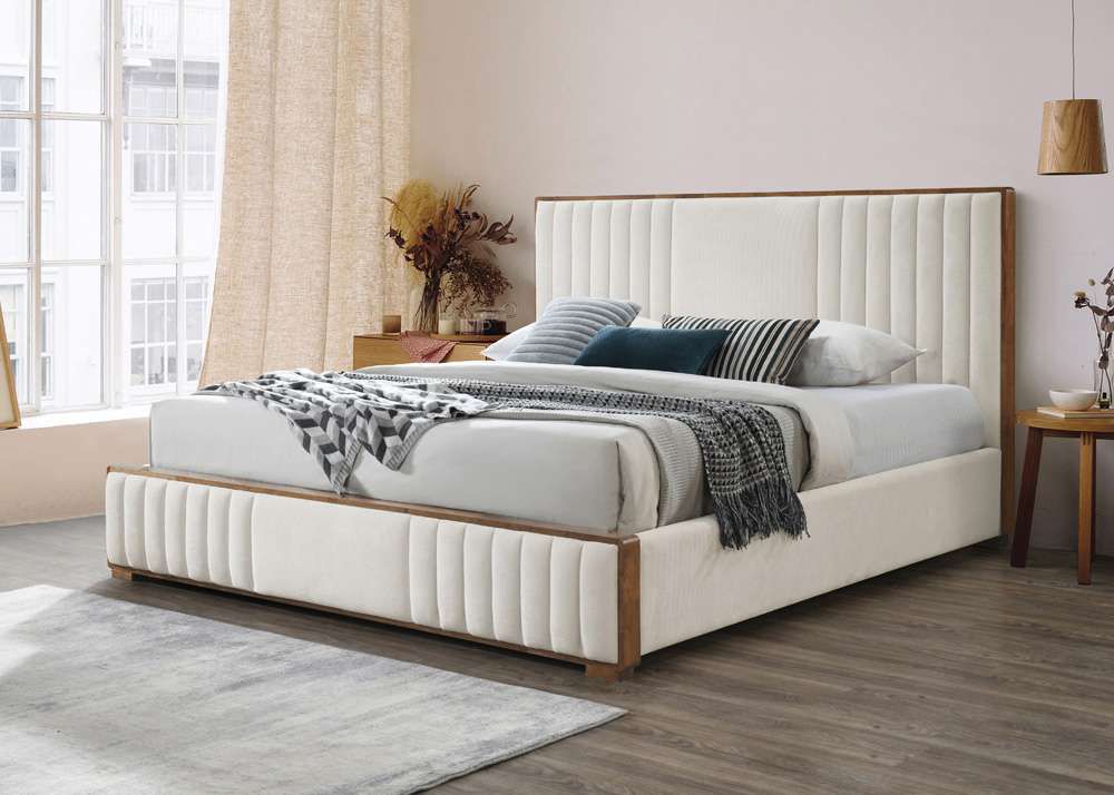 Dolphin Luxury Premium Bed