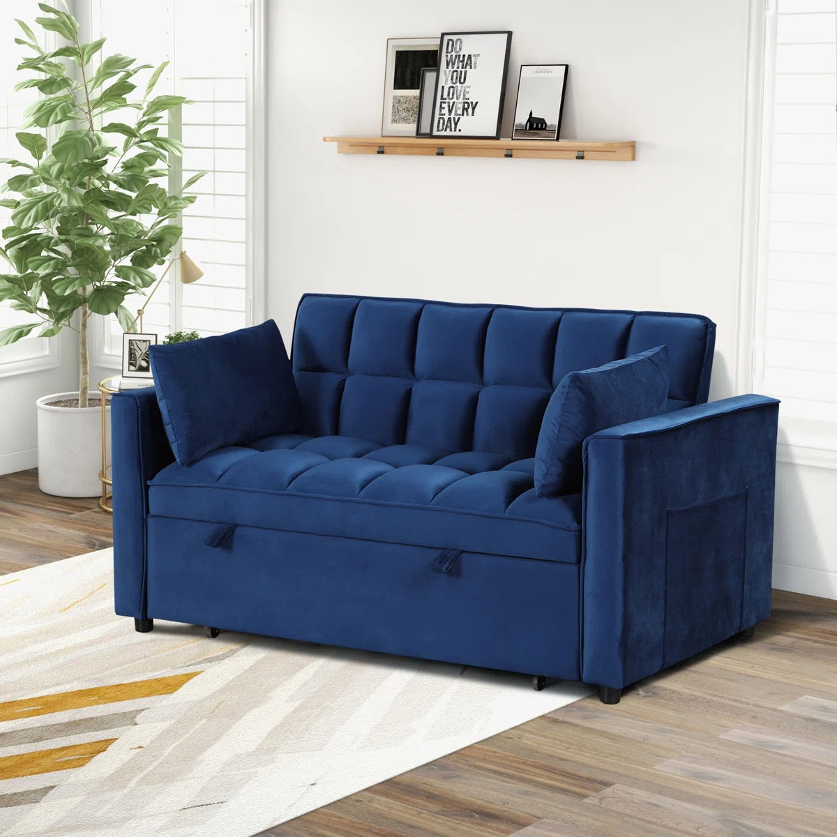 Nextra Tufted Sofa Cum Bed